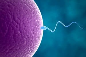 Diversos fatores que podem atrapalhar a concepção natural – Infertilidade: O Fator Masculino