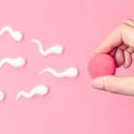 O que é Inseminação Artificial?