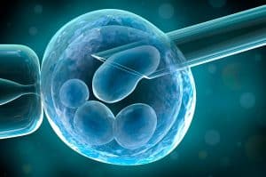 Teste de Receptividade Endometrial pode determinar a Implantação do Embrião